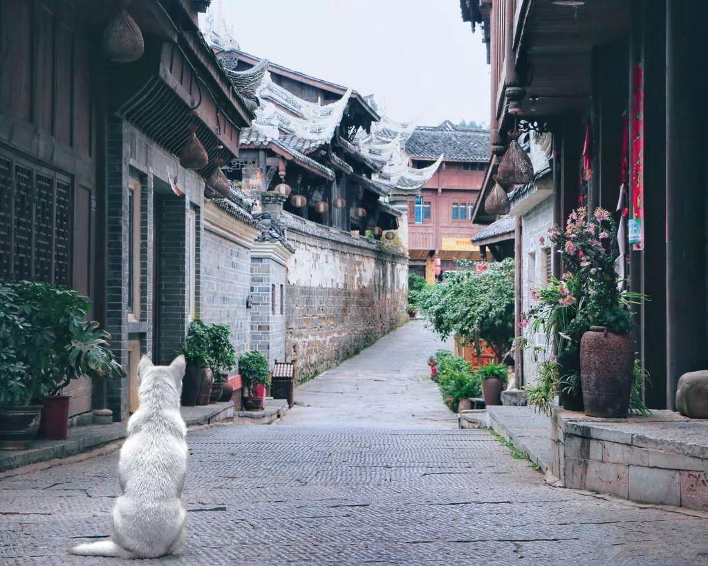 怎样修冰箱的压缩机，如何省电？游戏画面