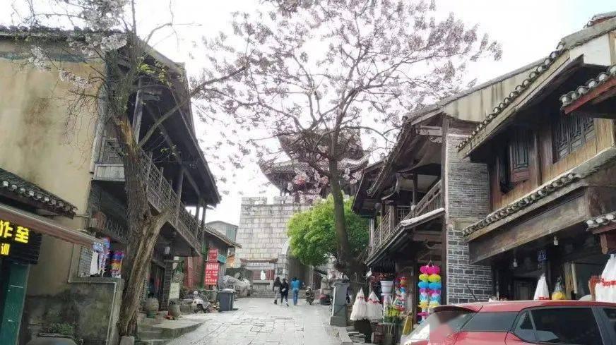 众神之宝